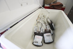 Свердловские  газовики пополнили областной Банк крови почти на 14 литров
