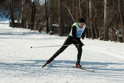 Финальные соревнования по лыжным гонкам