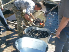 Уральские газовики провели «рыбный день» в Оренбургской области