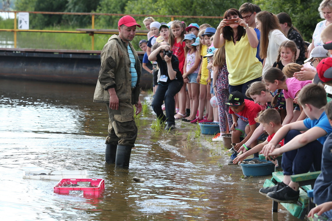 Активное участие в экологической акции по зарыблению Верх-Сысертского пруда приняли дети газовиков, отдыхающие в «Прометее»