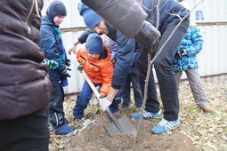 Работники СКЗ вместе с детьми высадили кусты сирени и саженцы липы
