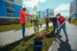 Сотрудники ООО «Газпром трансгаз Екатеринбург» отметили Год экологии и День защиты детей высадкой рябин