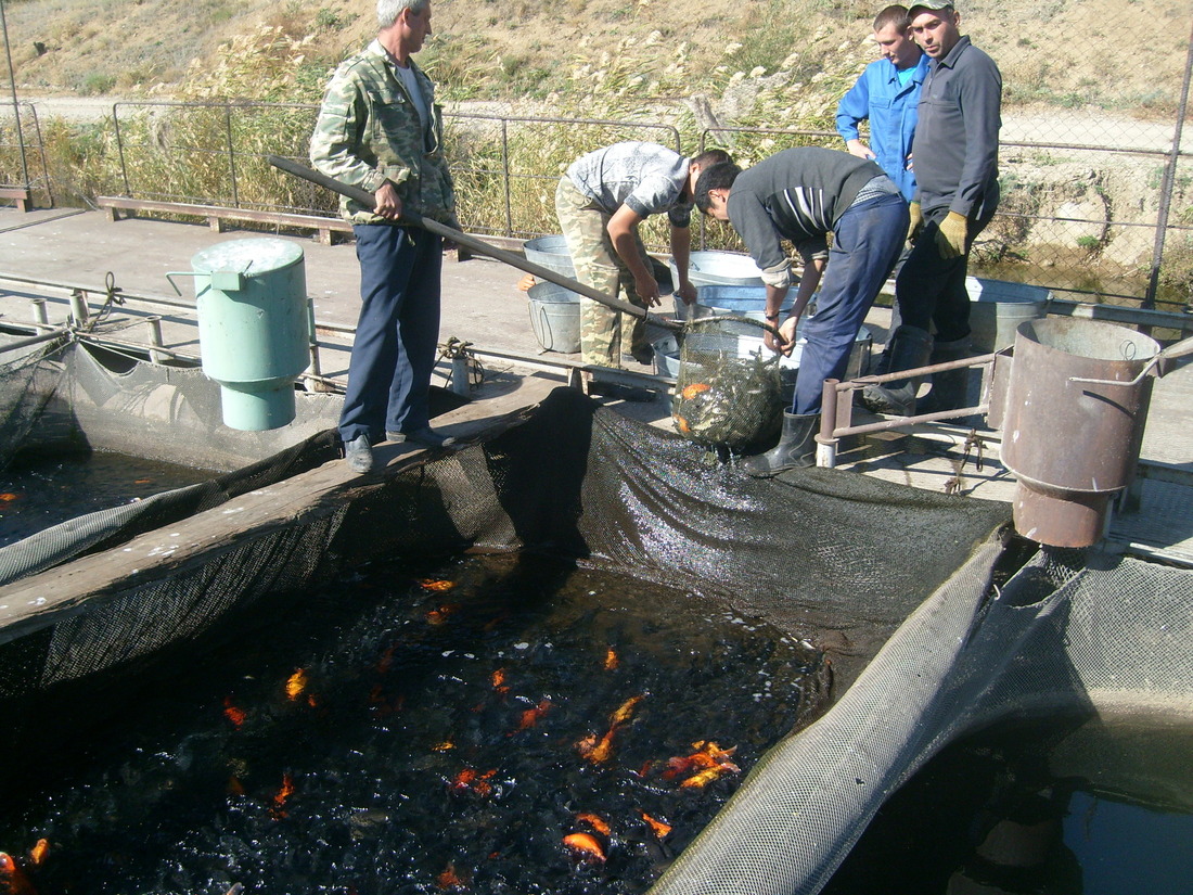 Уральские газовики провели «рыбный день» в Оренбургской области