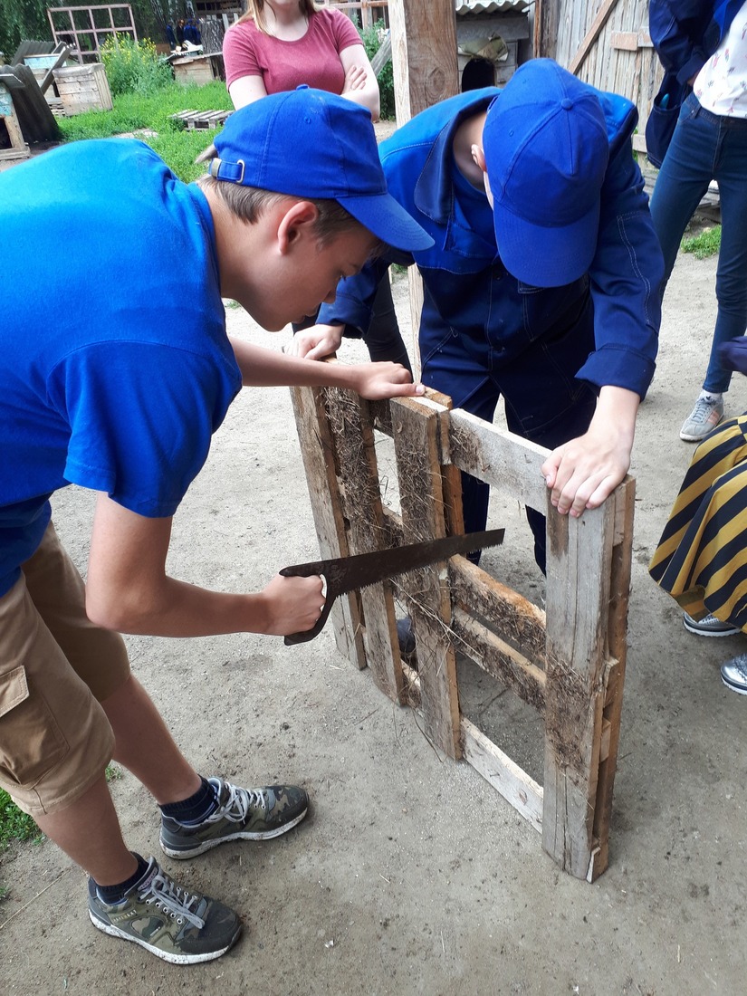 Ребята из трудовой бригады Шадринского ЛПУМГ оказывают помощь в уходе за животными зооцентра "Приют Надежды"