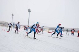 Во время соревнований. Лыжная эстафета