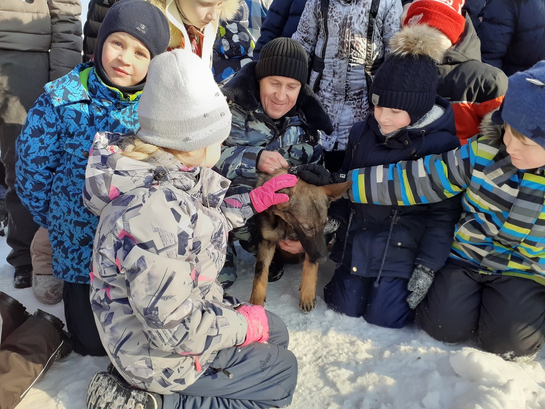 В кинологическом питомнике МВД России в г. Екатеринбурге детям показали, как идет подготовка служебных собак для работы в правоохранительных органах