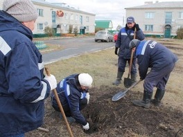 Участники экологической акции «Посади дерево»